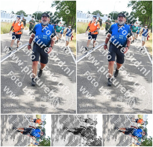 Evenement foto: Nijmeegse Vierdaagse 644