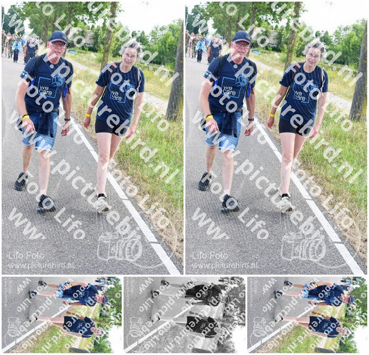 Evenement foto: Nijmeegse Vierdaagse 644