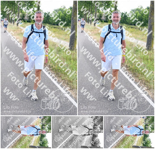Evenement foto: Nijmeegse Vierdaagse 644