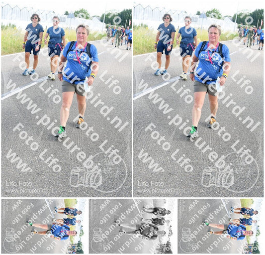 Evenement foto: Nijmeegse Vierdaagse 644