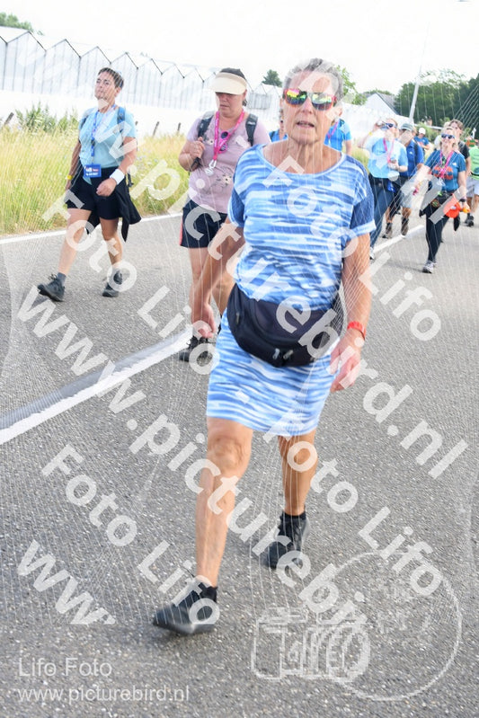 Evenement foto: Nijmeegse Vierdaagse 644