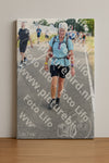 Evenement foto: Nijmeegse Vierdaagse 644