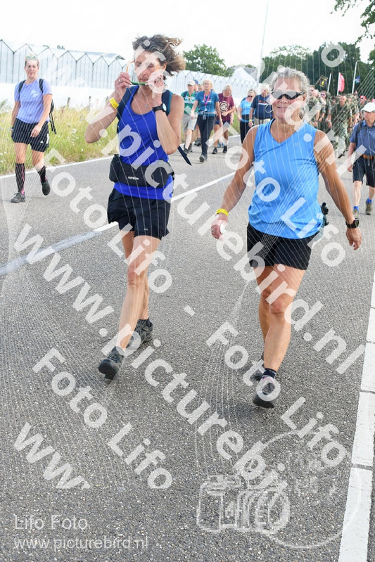 Evenement foto: Nijmeegse Vierdaagse 644