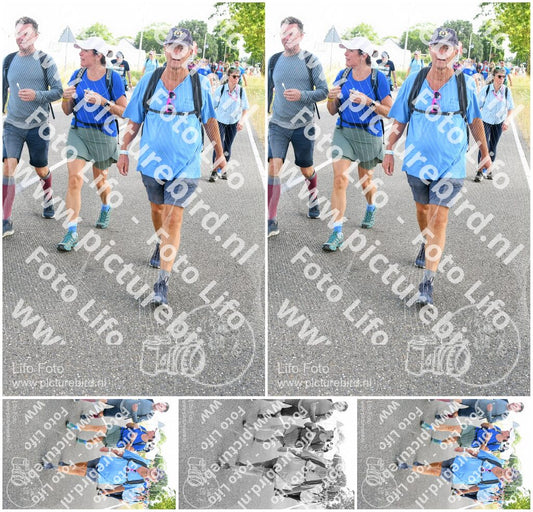 Evenement foto: Nijmeegse Vierdaagse 644