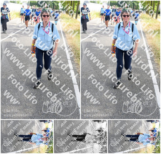 Evenement foto: Nijmeegse Vierdaagse 644
