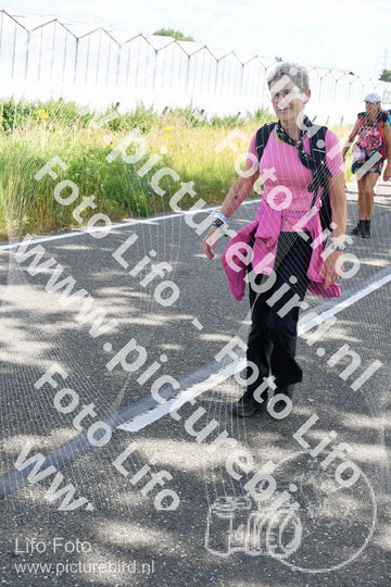 Evenement foto: Nijmeegse Vierdaagse 644