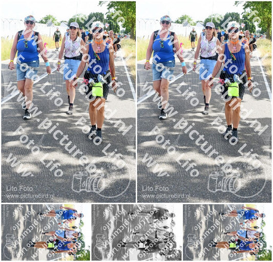 Evenement foto: Nijmeegse Vierdaagse 644