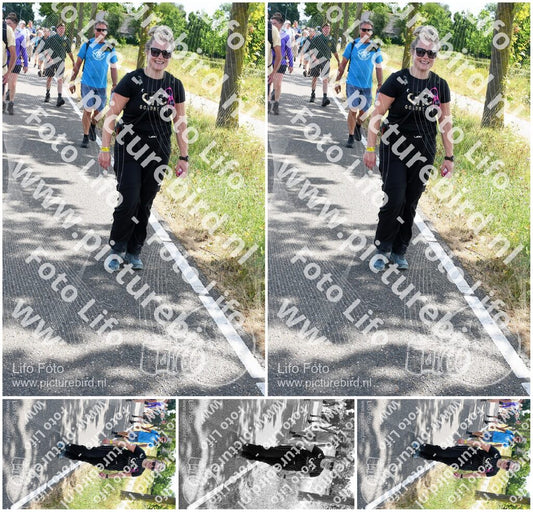 Evenement foto: Nijmeegse Vierdaagse 644