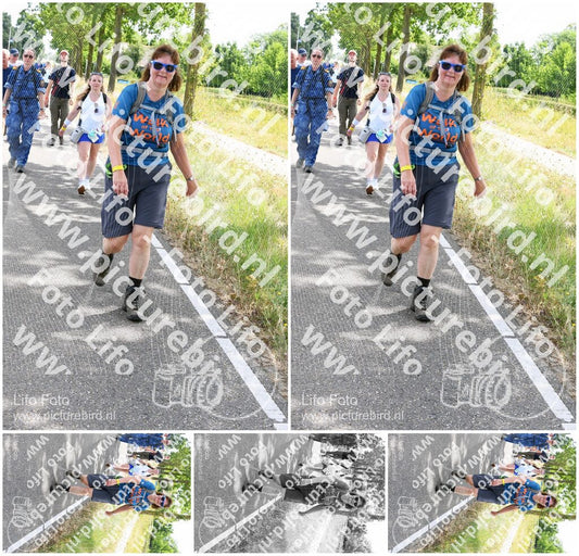 Evenement foto: Nijmeegse Vierdaagse 643