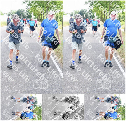 Evenement foto: Nijmeegse Vierdaagse 643