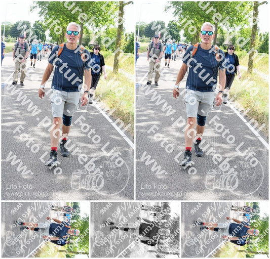 Evenement foto: Nijmeegse Vierdaagse 643