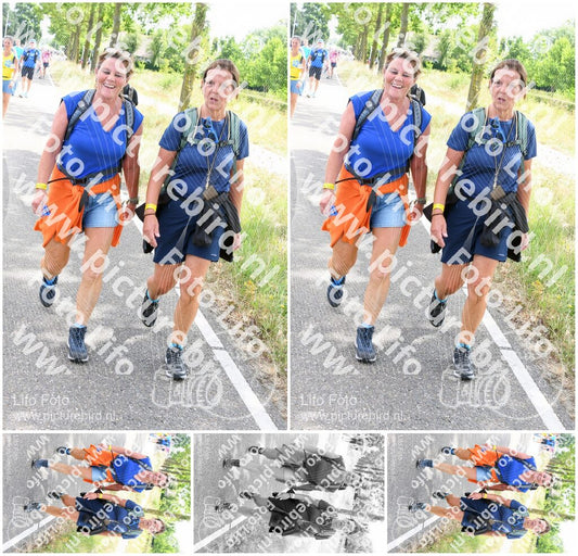 Evenement foto: Nijmeegse Vierdaagse 643