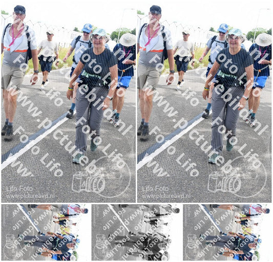 Evenement foto: Nijmeegse Vierdaagse 643