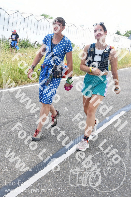 Evenement foto: Nijmeegse Vierdaagse 643
