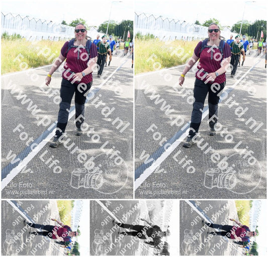 Evenement foto: Nijmeegse Vierdaagse 643