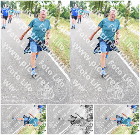 Evenement foto: Nijmeegse Vierdaagse 643
