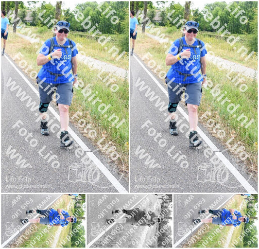 Evenement foto: Nijmeegse Vierdaagse 643