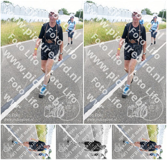 Evenement foto: Nijmeegse Vierdaagse 643