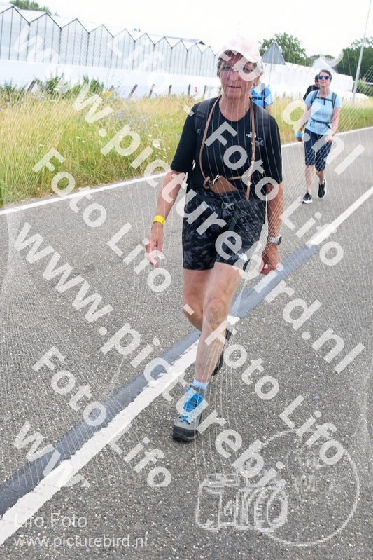 Evenement foto: Nijmeegse Vierdaagse 643