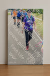 Evenement foto: Nijmeegse Vierdaagse 643