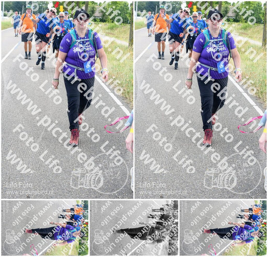 Evenement foto: Nijmeegse Vierdaagse 643