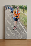 Evenement foto: Nijmeegse Vierdaagse 643