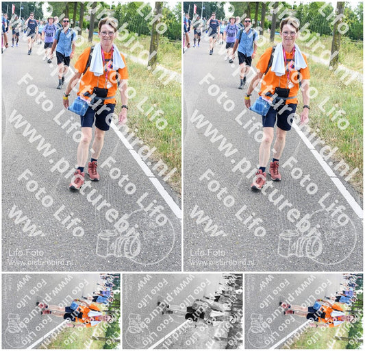 Evenement foto: Nijmeegse Vierdaagse 643