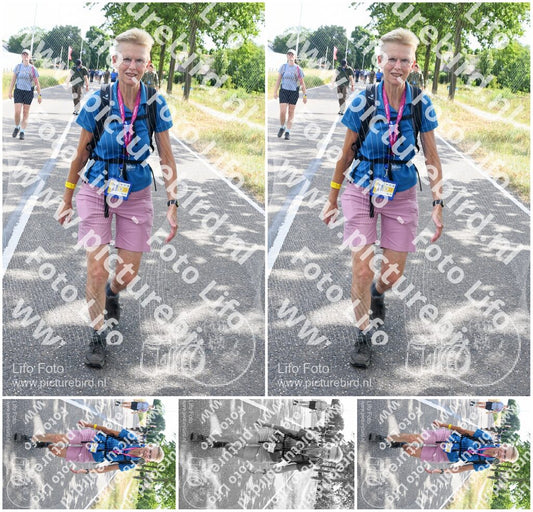 Evenement foto: Nijmeegse Vierdaagse 642