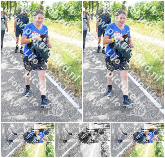 Evenement foto: Nijmeegse Vierdaagse 642