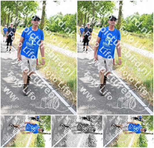 Evenement foto: Nijmeegse Vierdaagse 642