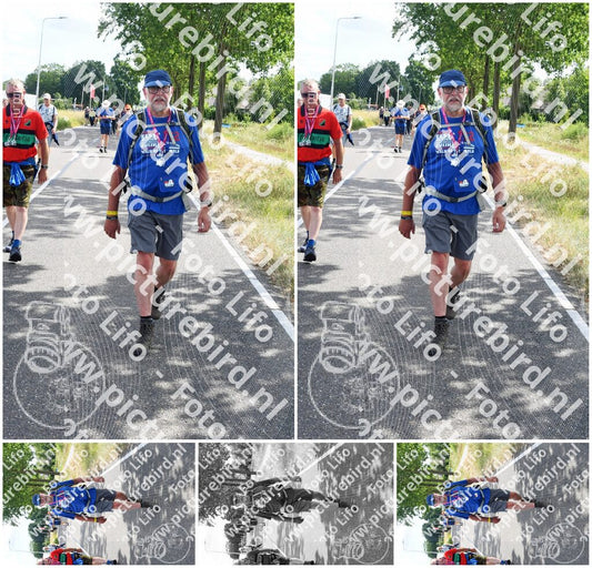 Evenement foto: Nijmeegse Vierdaagse 642