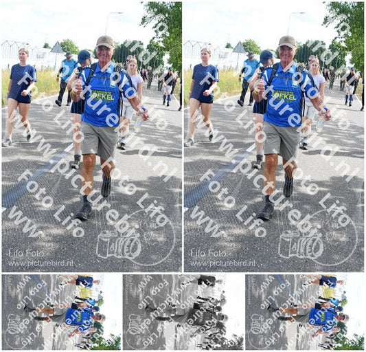 Evenement foto: Nijmeegse Vierdaagse 642