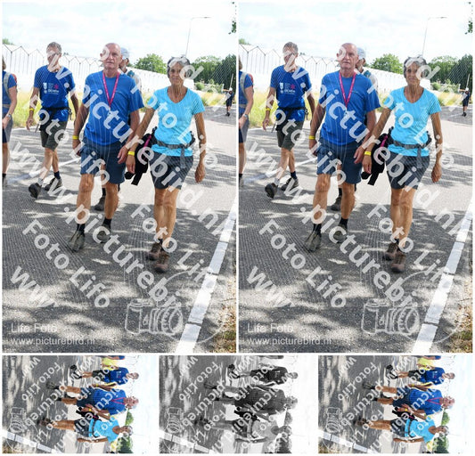 Evenement foto: Nijmeegse Vierdaagse 642