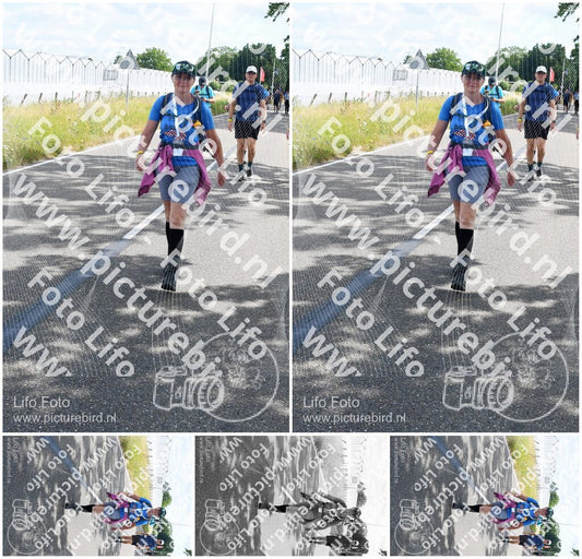 Evenement foto: Nijmeegse Vierdaagse 642