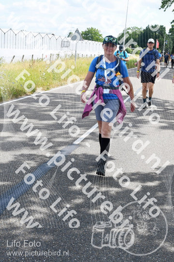 Evenement foto: Nijmeegse Vierdaagse 642