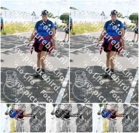 Evenement foto: Nijmeegse Vierdaagse 642