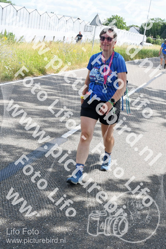 Evenement foto: Nijmeegse Vierdaagse 642