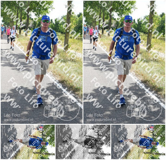 Evenement foto: Nijmeegse Vierdaagse 642