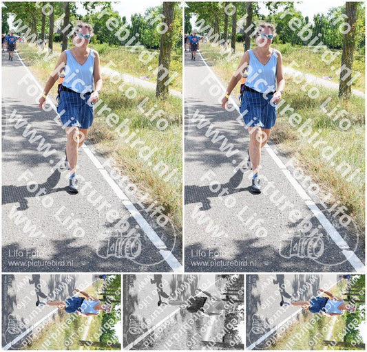 Evenement foto: Nijmeegse Vierdaagse 642