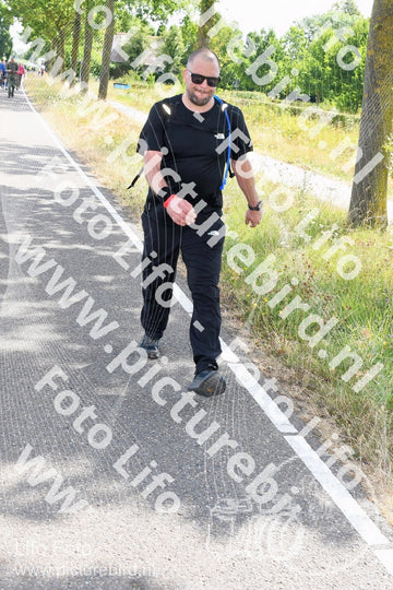 Evenement foto: Nijmeegse Vierdaagse 641