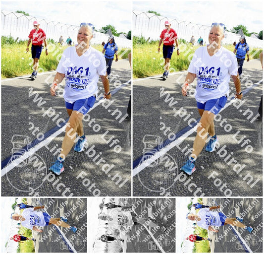 Evenement foto: Nijmeegse Vierdaagse 641