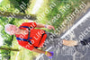 Evenement foto: Nijmeegse Vierdaagse 641