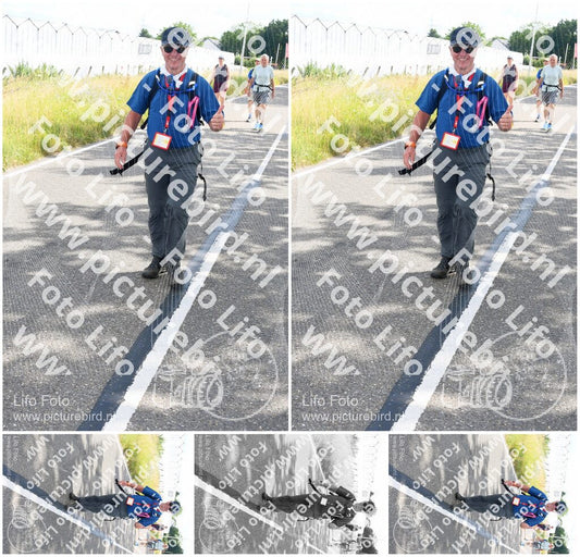 Evenement foto: Nijmeegse Vierdaagse 641