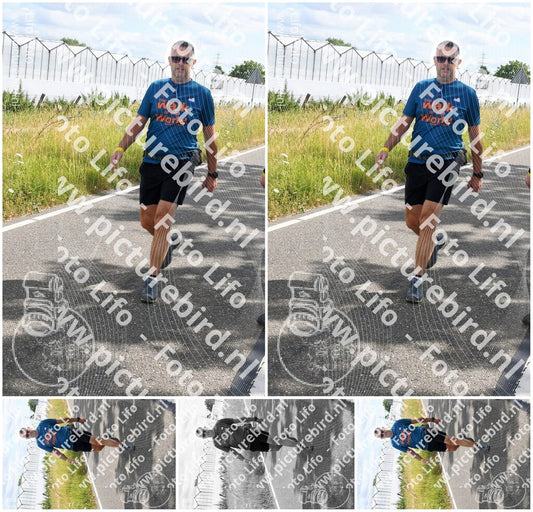 Evenement foto: Nijmeegse Vierdaagse 641