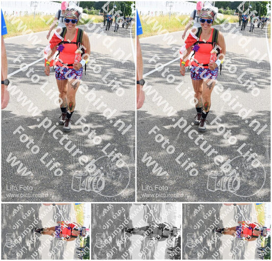 Evenement foto: Nijmeegse Vierdaagse 641