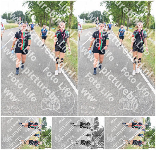 Evenement foto: Nijmeegse Vierdaagse 641