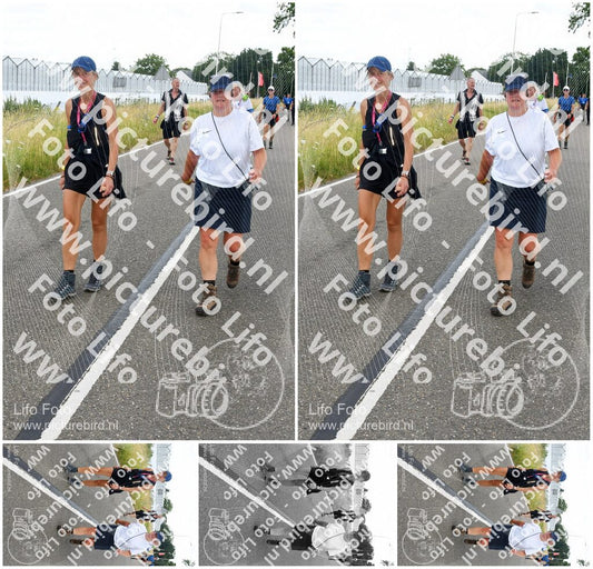 Evenement foto: Nijmeegse Vierdaagse 641