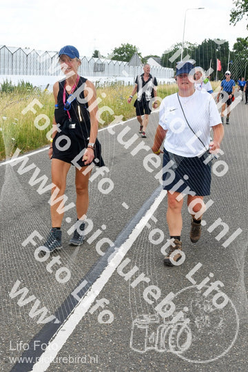Evenement foto: Nijmeegse Vierdaagse 641