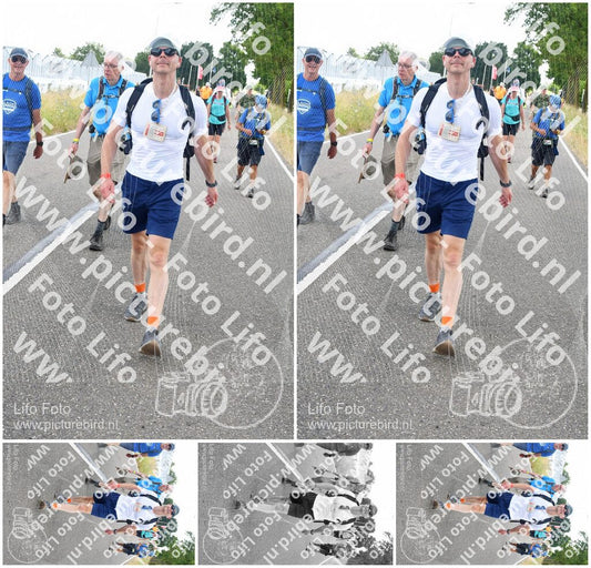 Evenement foto: Nijmeegse Vierdaagse 641