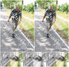 Evenement foto: Nijmeegse Vierdaagse 641